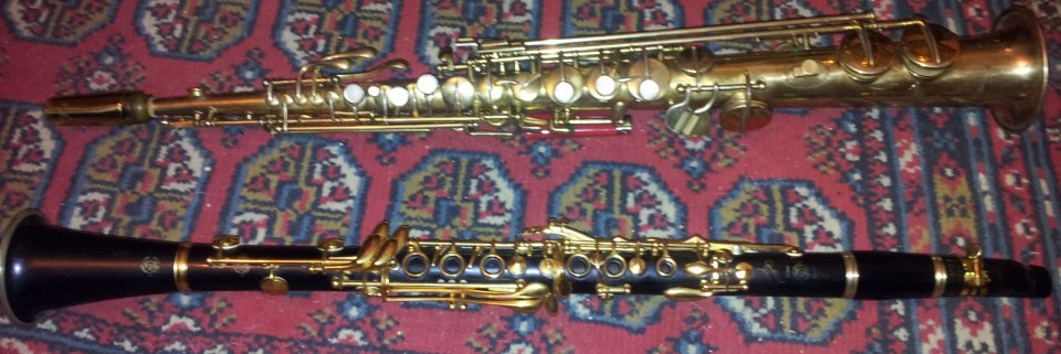 Saxophoniste et clarinettiste des Hot Jazz Brothers